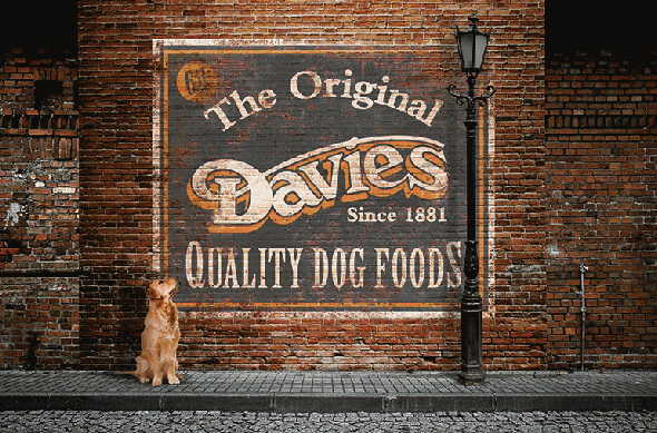 davies chub dog food